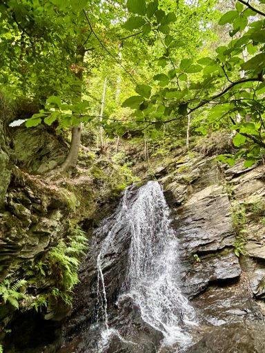 Traumhafte Wanderwege mit Wasserfällen und viel Natur