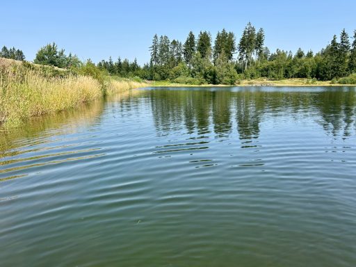 Badesee bei Clausthal Zellerfeld