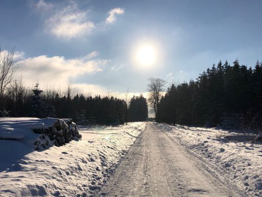 Geräumte Wanderwege in Hahnenklee