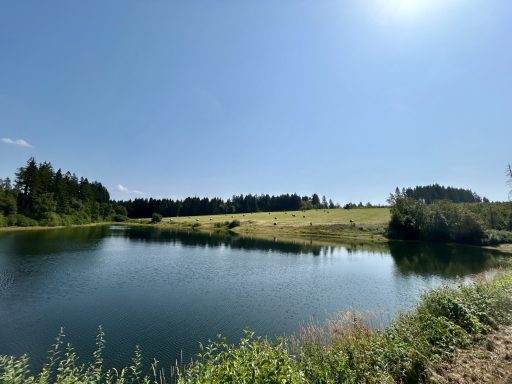 einsame Badeseen mitten in der Natur