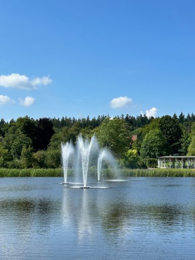 Kranichsee Wasserfontänen