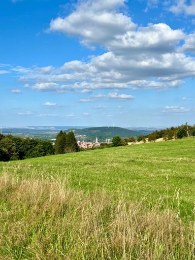 Alm bei Goslar