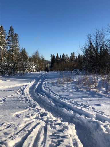 Winterlandschaft vor der Tür