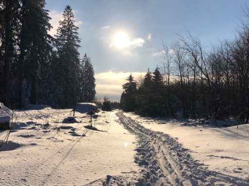 Wanderwege direkt vor der Tür